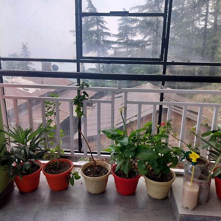 Tree Valley Homestay 차일 외부 사진