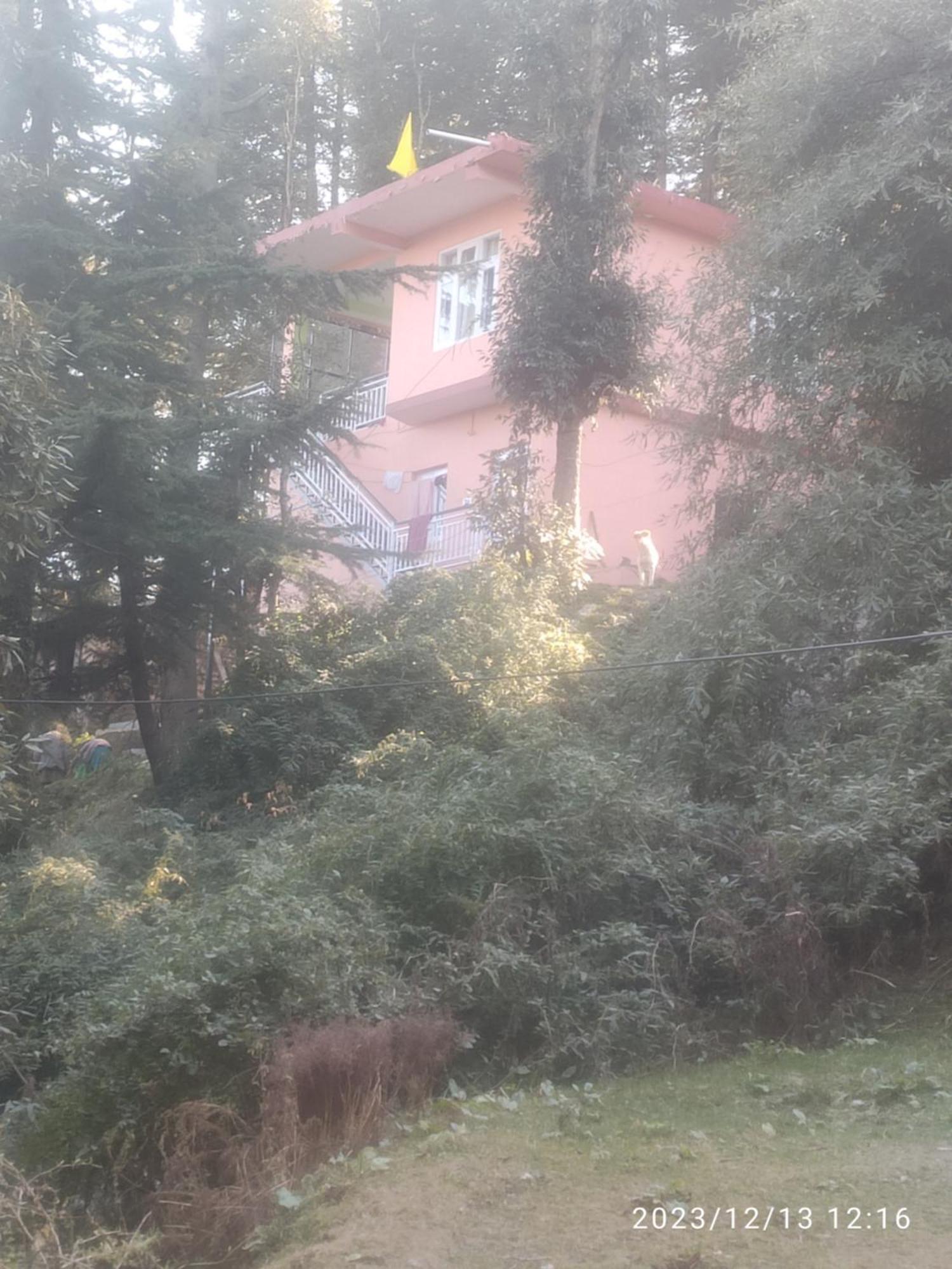 Tree Valley Homestay 차일 외부 사진