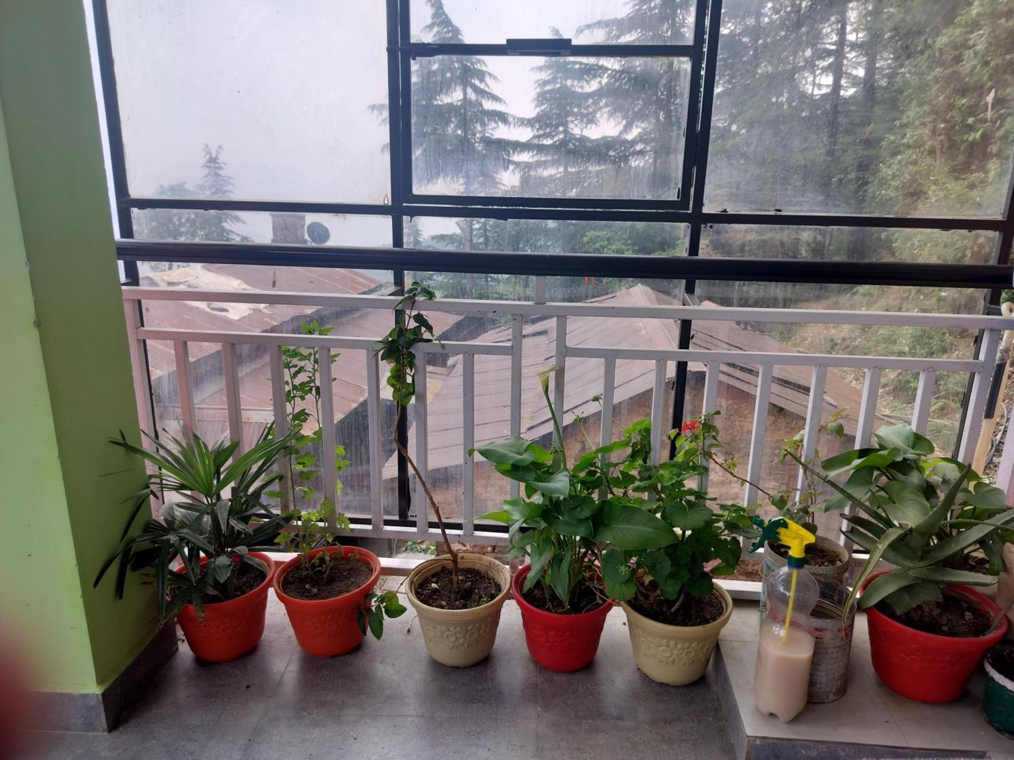 Tree Valley Homestay 차일 외부 사진