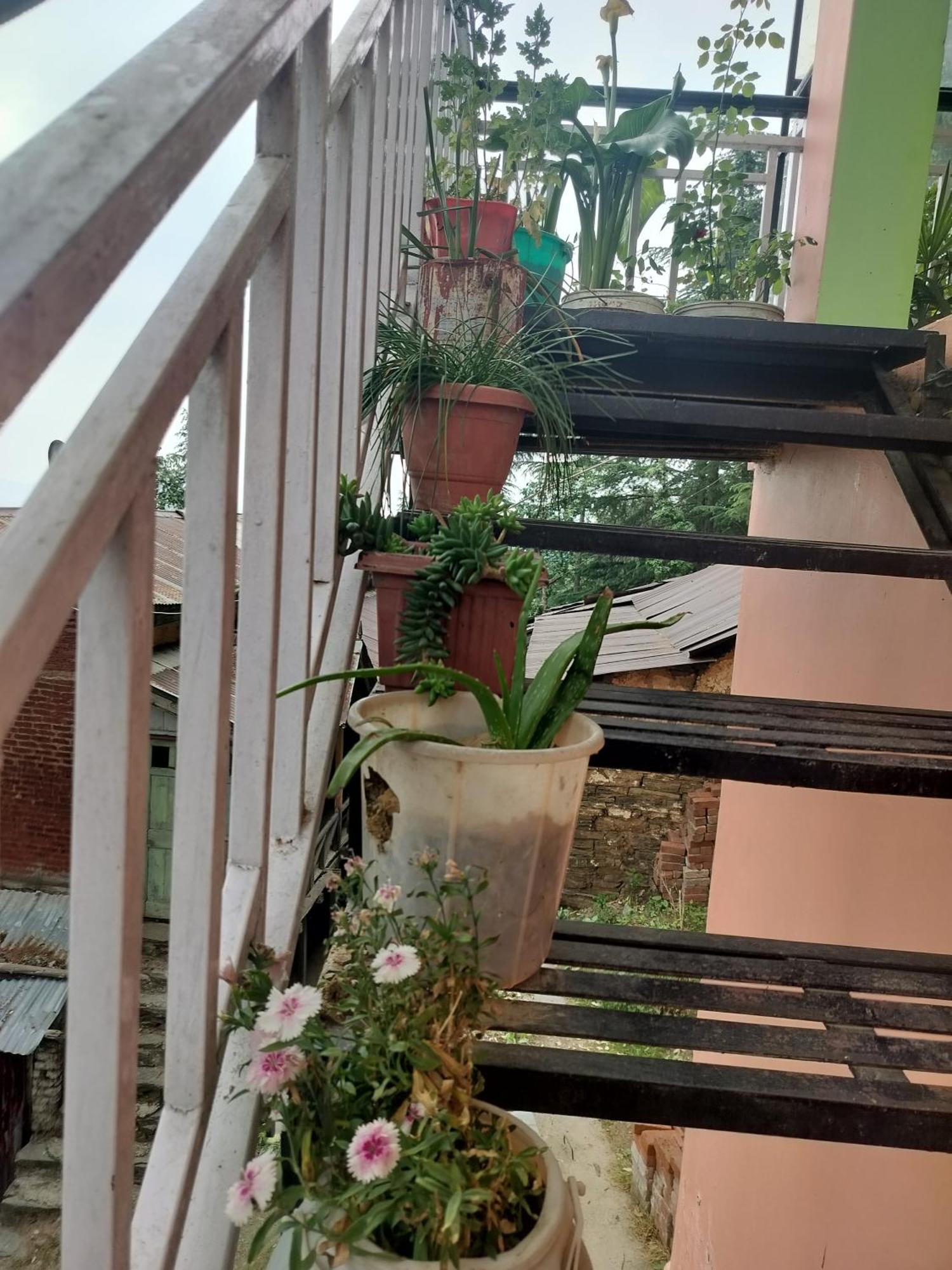 Tree Valley Homestay 차일 외부 사진