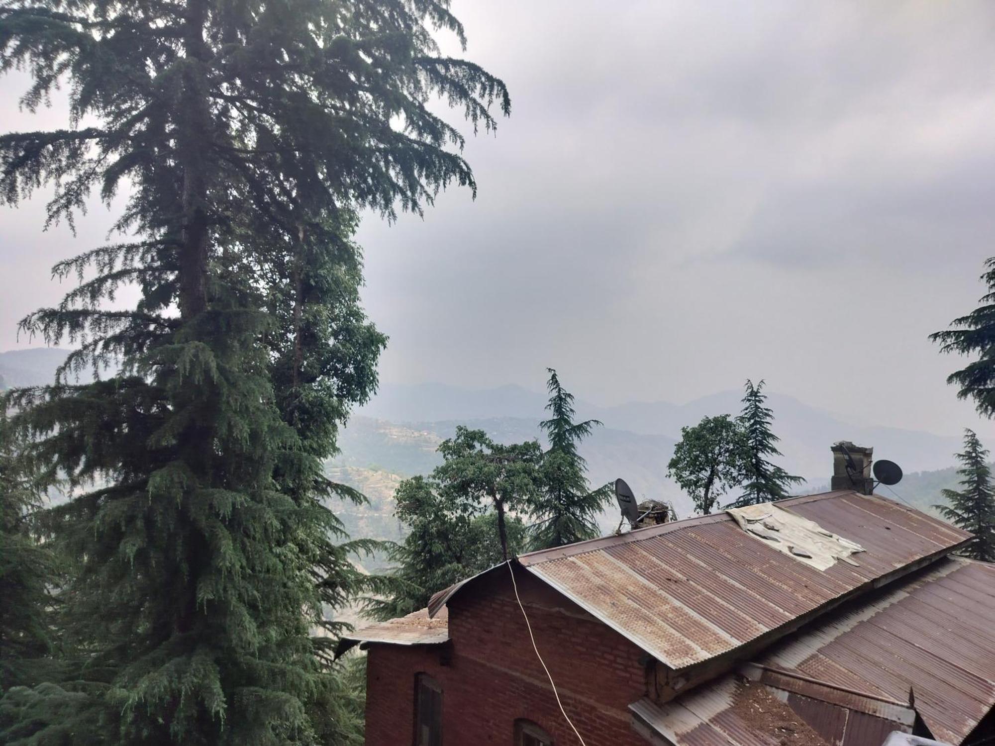Tree Valley Homestay 차일 외부 사진