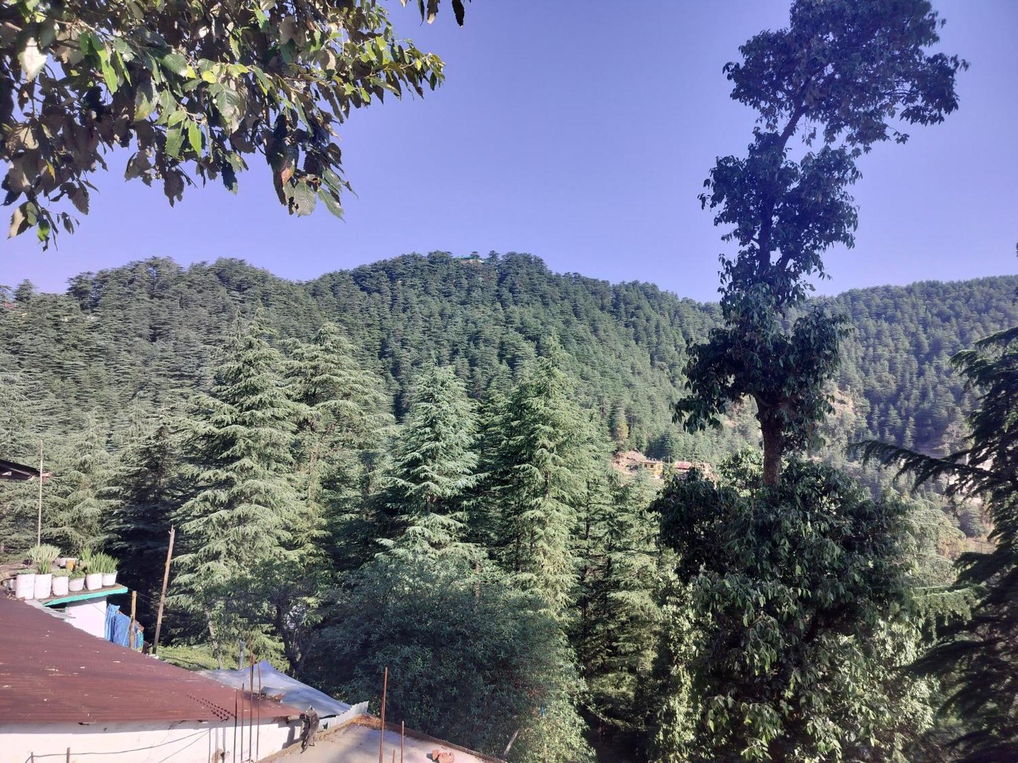 Tree Valley Homestay 차일 외부 사진