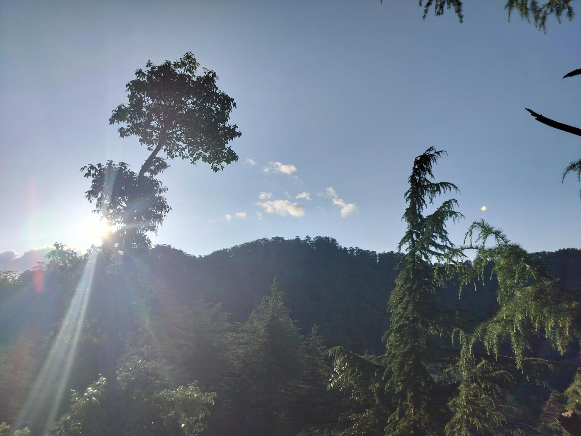 Tree Valley Homestay 차일 외부 사진