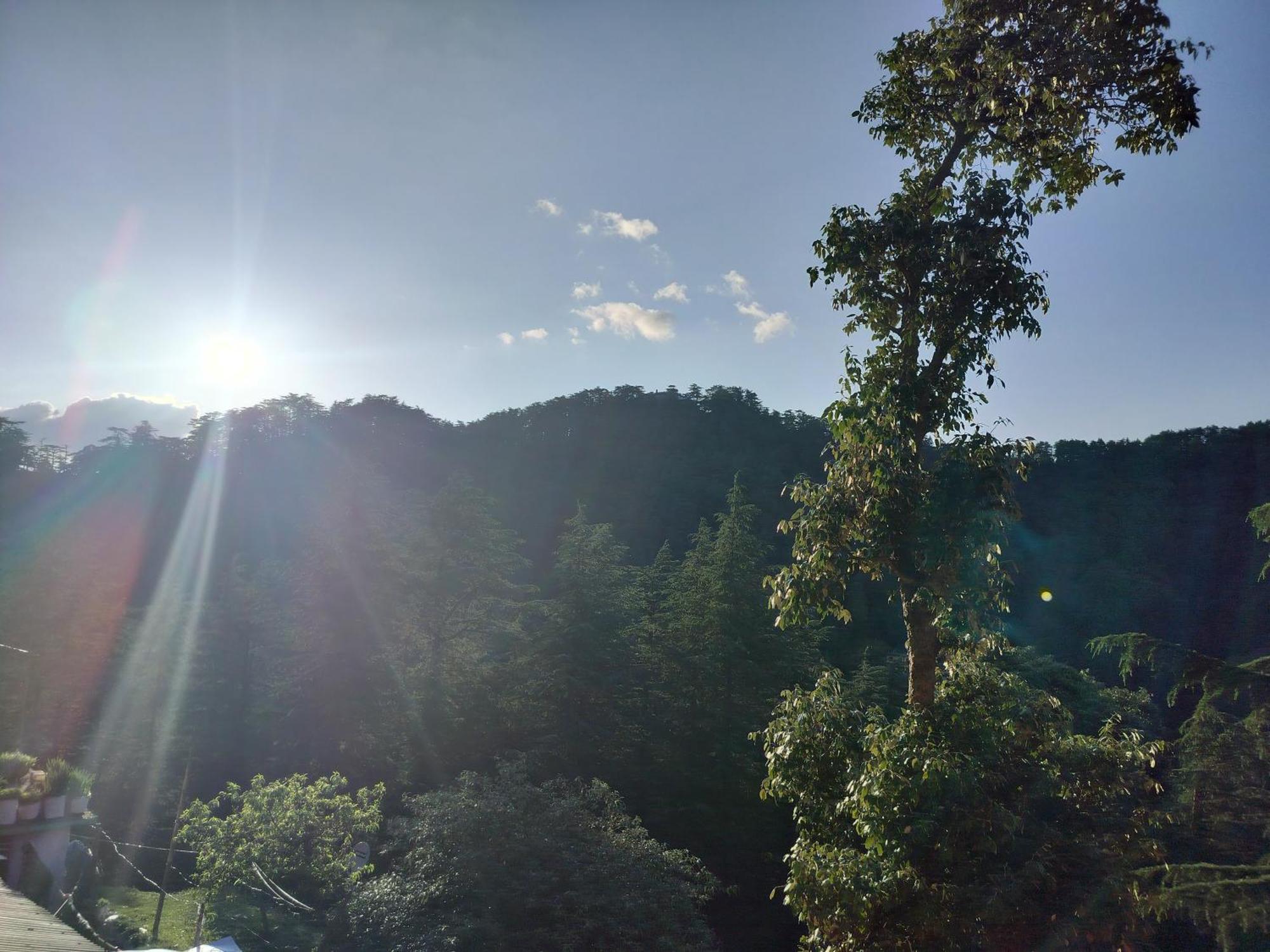 Tree Valley Homestay 차일 외부 사진