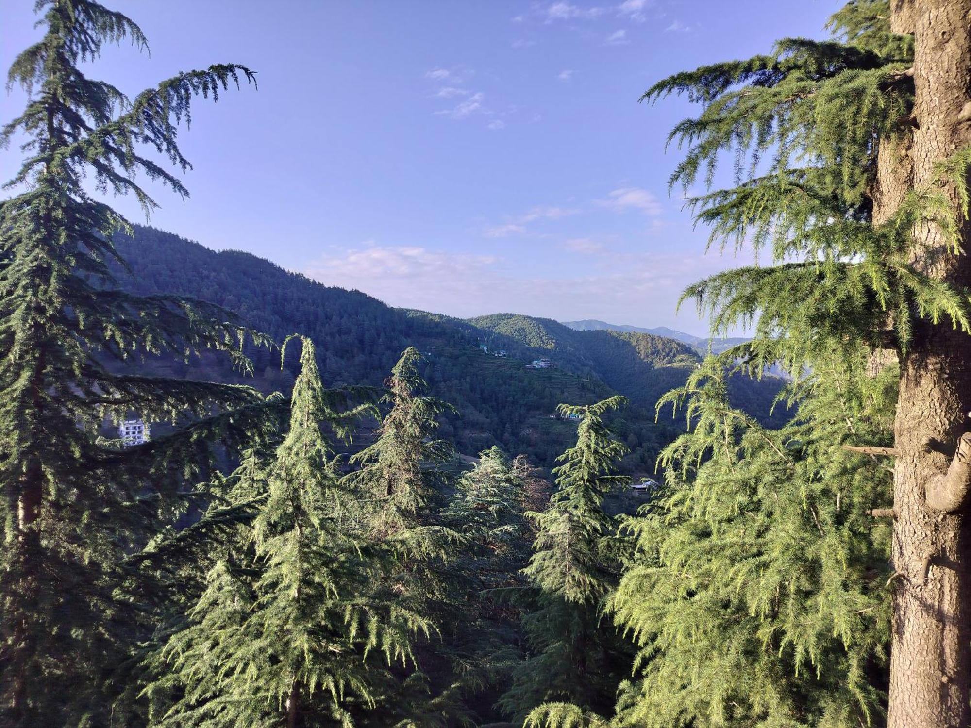 Tree Valley Homestay 차일 외부 사진
